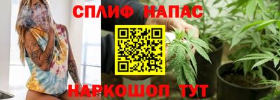 PSILOCYBIN Гусиноозёрск