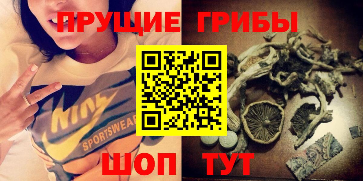Галлюциногенные грибы Cubensis Муром